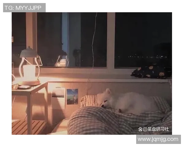 射手座男篮球明星盘点他们的星座魅力与球场表现